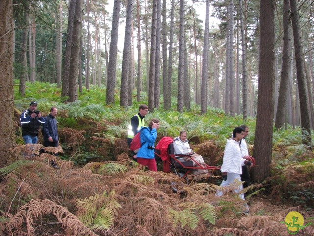 randonnée sportive avec joëlettes, Tervuren, 2012